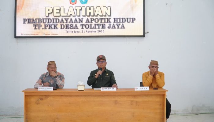 Sentuhan Magis Thariq Modanggu: Tolite Jaya Bersemi dengan Apotek Hidup dan Posyandu Impian