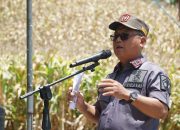 Gercep! Thariq-Nurjanah Eksekusi Program Agro Mopomulo, Wujudkan Pertanian Berkelanjutan di Gorontalo Utara