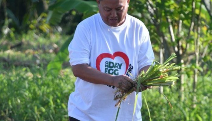 Bupati Gorontalo Utara Canangkan Penanaman Bibit Pakan Ternak untuk Ketahanan Pangan Hewani